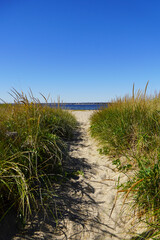 Trail through the Seagrass to the Beach