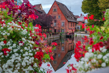 I fiori di Colmar  - Francia