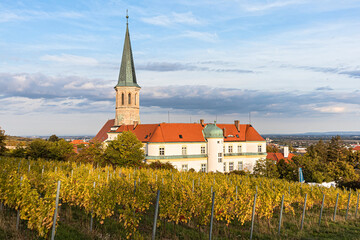 Fototapeta na wymiar Deutschordens-Schloss und Pfarrkirche Gumpolskirchen