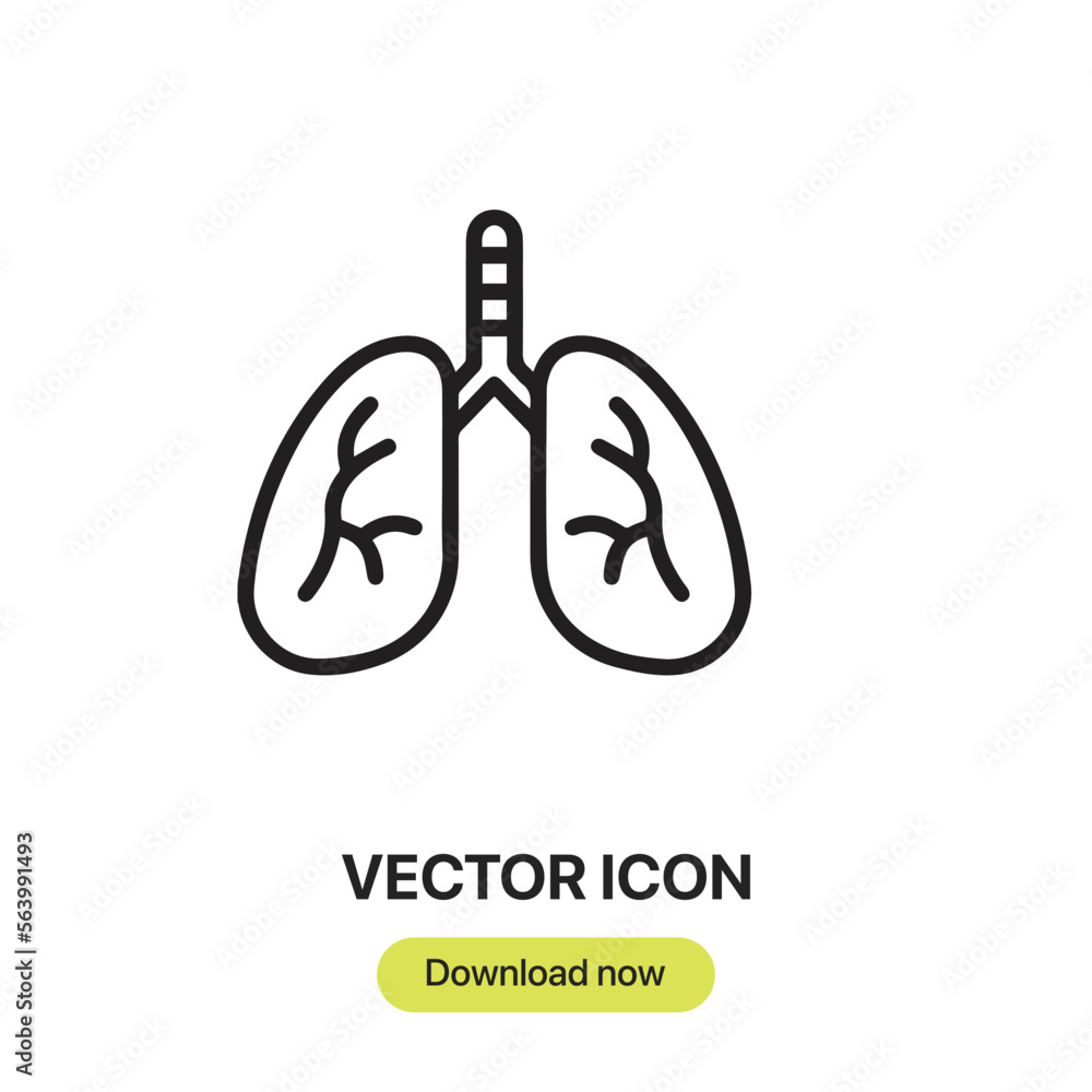 Poster lunges icon vector. linear style sign for mobile concept and web design.lunges symbol illustration. 