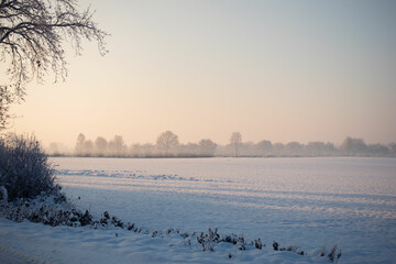 Winterlandschaft mit Bäumen