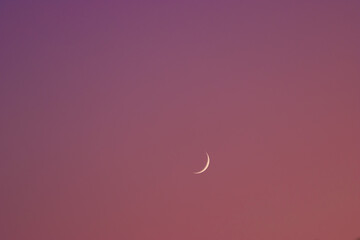 crescent moon on a pink sky during dawn