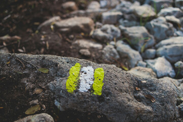 View of hiking trail from Paleokastritsa to Lakones, Old Donkey path, Corfu, Kerkyra, Greece, Ionian sea islands, with olive grove forest and mountains, in a summer sunny day, trekking on Corfu