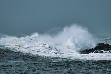 Big waves with stormy weather. 