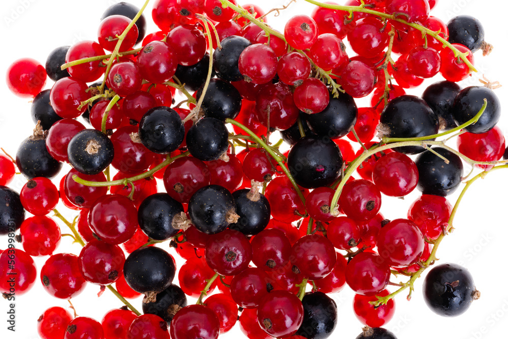 Wall mural currant isolated