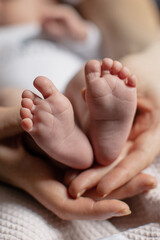 newborn baby feet on mom and dad hands. happy family concept	