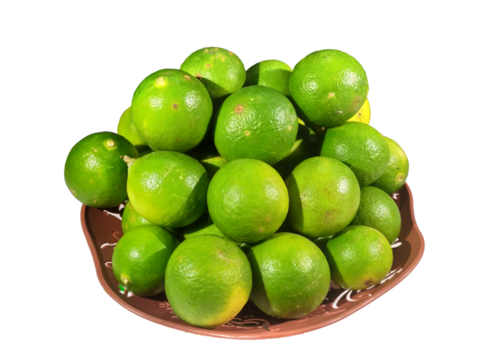 Lime isolated on a white background. Isolation is on a transparent layer in the PNG and JPG format.