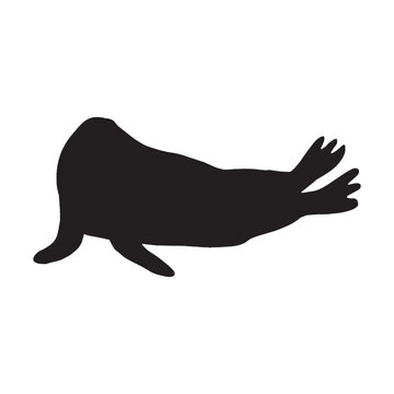 recommend clip art: Cute walrus silhouette on a white background. Vector hand drawn kids illustration. Sea ocean. Underwater world