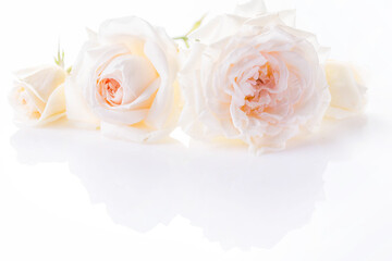 Festive flower composition on white background. Overhead view