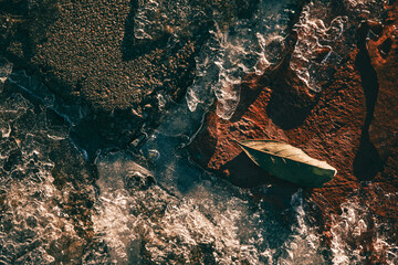 orange leaf on concrete and ice