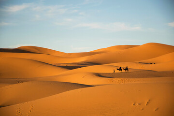 Fototapeta na wymiar Camel caravan in the desert of merzouga. Golden sand dunes. Tourists on camels. Sahara. Morocco desert. Adventure exploring nature 