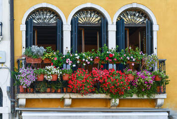 Fototapeta na wymiar Balcony of an old palace with three arched window doors and flowering plants of mandevilla and petunia in summer, Venice, Italy