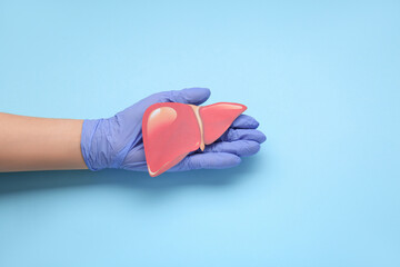 Doctor in glove holding paper liver on light blue background, closeup and top view. Hepatitis...