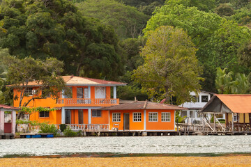 Colorful ose by the caribbean sea