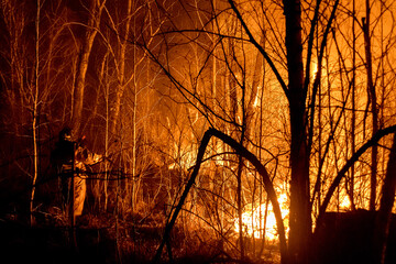 foci of a forest fire close-up