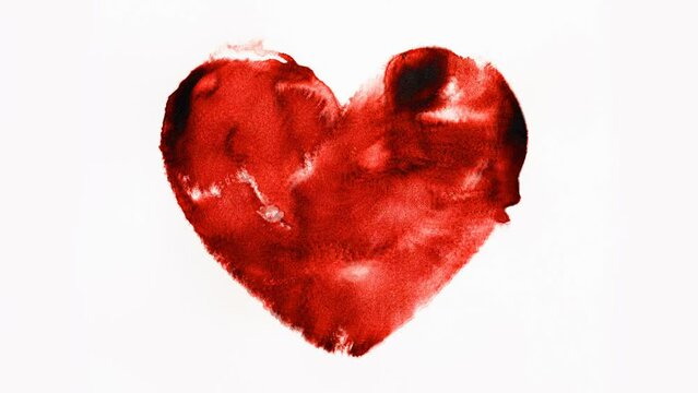 Watercolour splashes heart on white background. Loop Animation.