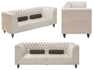 Sofa for office or home. Isolated from the background. In different angles. Interior element