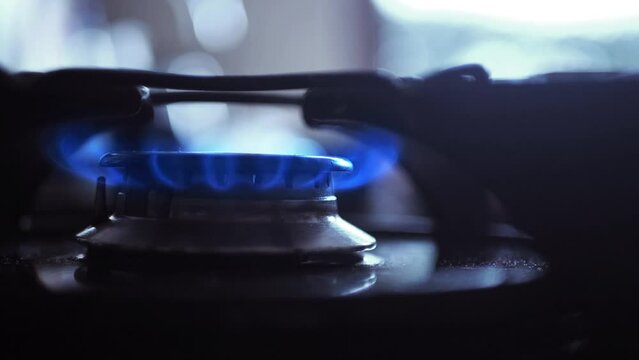 gas stove burner