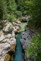 Fototapeta na wymiar Amazing wild water in mala korita Soce valley, small pure clear turquoise flowing stream through stone gorge
