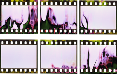 souped 35mm negative film strips, real scan of empty film material with scanning light interferences and developing smear marks, film texture.
