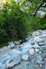 beautiful stream -Hammersbach , Grainau - Garmisch Partenkirchen
