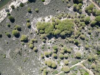 Vue aérienne de la Petite Camargue dans le Gard, sud de la France, avec la Tour Carbonnière