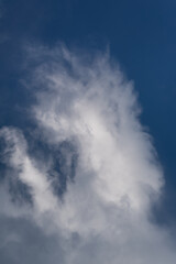 Obraz premium A fluffy white cloud in a blue sky is large in a vertical arrangement.