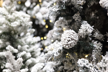 Branches of frosty Christmas tree with cones and lights of garlands as background.