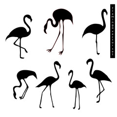 Flamingo black silhouette vector set

