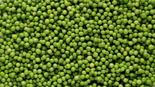 Some peas falling from the top in a surface full of many ripe green peas. Slow motion. Fresh green pea on green texture surface.