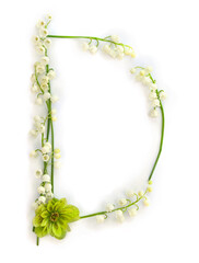 Letter D of white flowers Lily of the valley ( Convallaria ) on a white background. Top view, flat lay