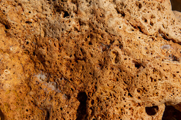 natural eco background. rock texture in the foreground closeup with blurred background