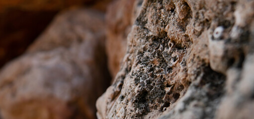 natural eco background. rock texture in the foreground closeup with blurred background