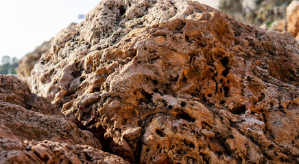 natural eco background. rock texture in the foreground closeup with blurred background