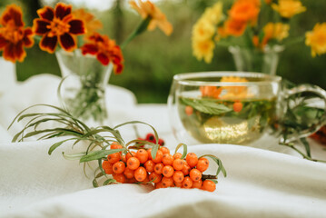 a branch of useful sea buckthorn for oil or tea on a white tablecloth