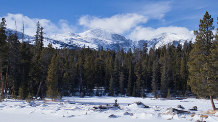 Trees in front of beautiful mountains with snow in the Bighorn Mountains of Wyoming on a sunny winter day.