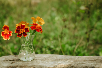 bouquet of orange marigolds on gray wooden table on natural green background