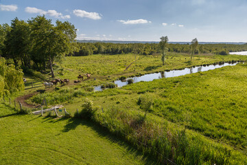 Réserve naturelle nationale du Marais Vernier, Eure, Normandie, France