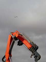 Crane with seagull flying and cloudy sky