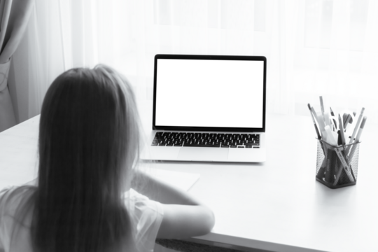 school at home through online homeschooling. the child is sitting at the computer