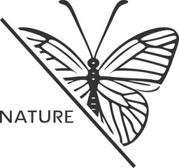 Design of butterfly draw