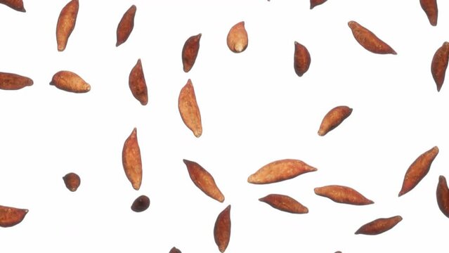 Looping animation featuring a cloud of Sweet Potatoes falling endlessly on a featureless white background.