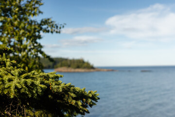 Branch with blurry background of Lake Superior