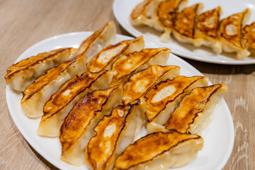 Japanese grill meat dumpling dish