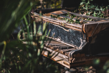 Abandoned Grand Piano In The Garden