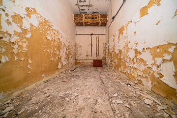 In Brandenburg, history isn't just told, it's hidden underground in old bunkers! Imagine strolling...