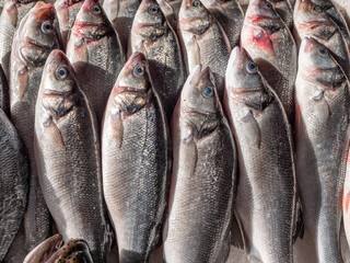 Fresh fish on counter in store or supermarket. Seafood natural products.