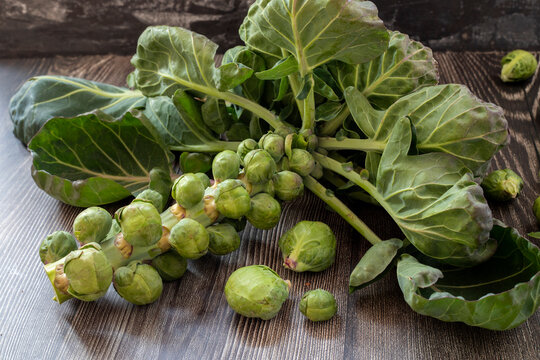 Macro shots of fresh Brussels sprouts. brussels sprouts background. Close-up of raw, fresh and whole brussels sprouts