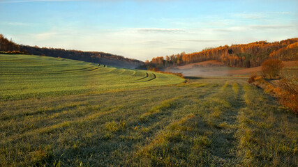 Fototapeta na wymiar Autumn landscape, Autumn forest on the hills. fields and meadow in Roztocze Poland.
