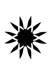 Graphic Snow Flake Icon

